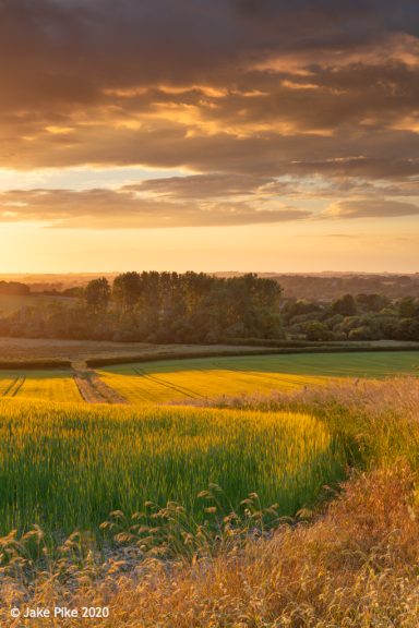 West Stafford Farm Summer Sunset